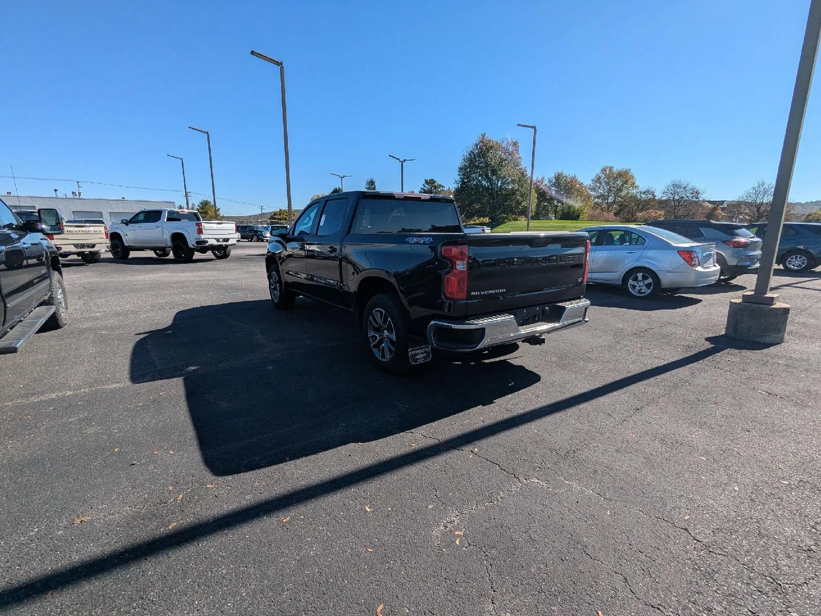 Photo 6