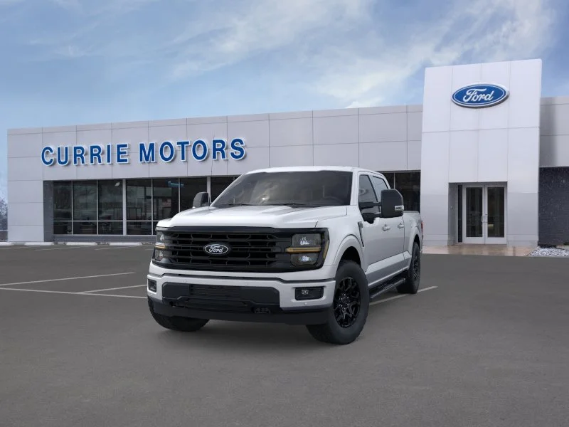 New 2026 Iconic Silver Metallic Ford LIFTED image 22