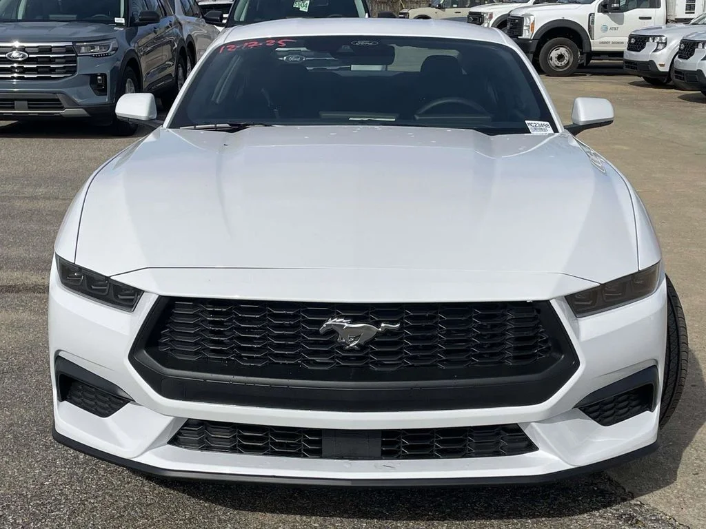 New 2026 Oxford White Ford EcoBoost image 8