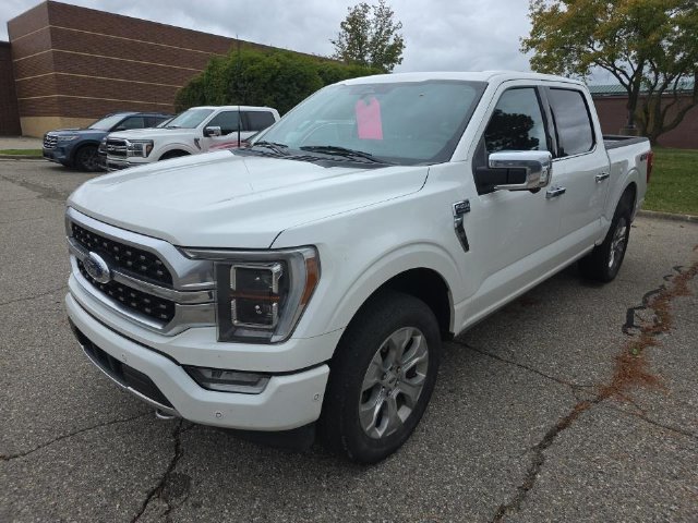 Used 2023 White Ford Platinum image 2