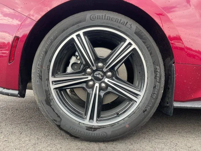 2025 Ford Mustang EcoBoost Premium Fastback - Photo 8