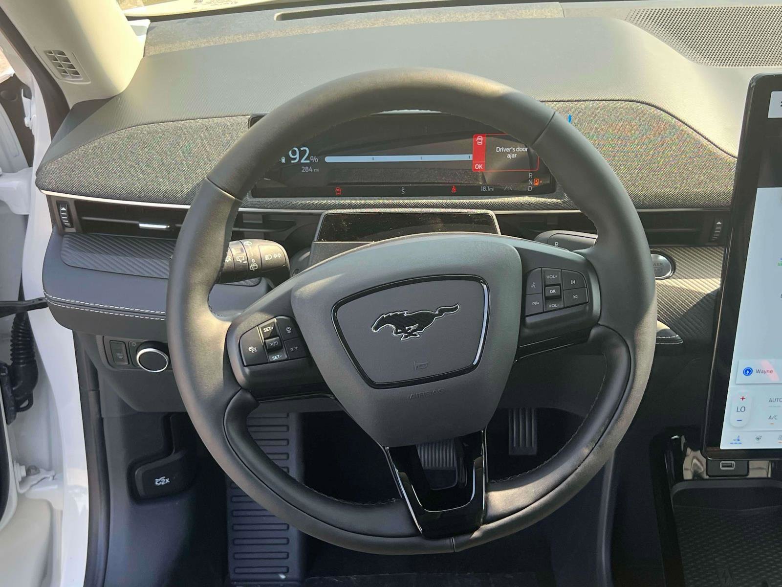 2025 Ford Mustang Mach-E Premium - Photo 10