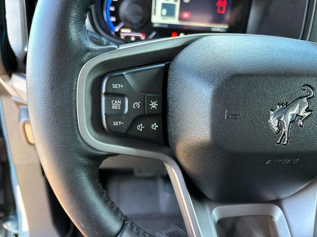 Used 2022 Area 51 Ford Black Diamond image 16