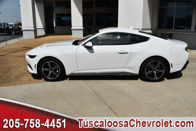 Used 2025 White Ford EcoBoost Fastback image 6