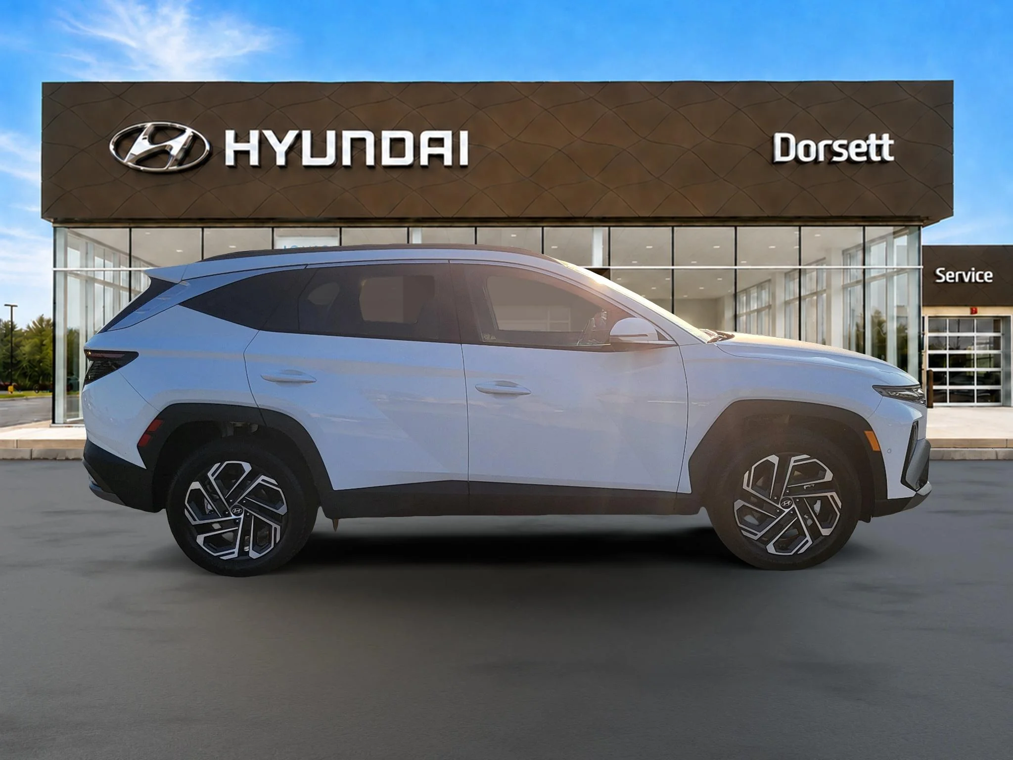 New 2026 Serenity White Pearl Hyundai Limited image 5