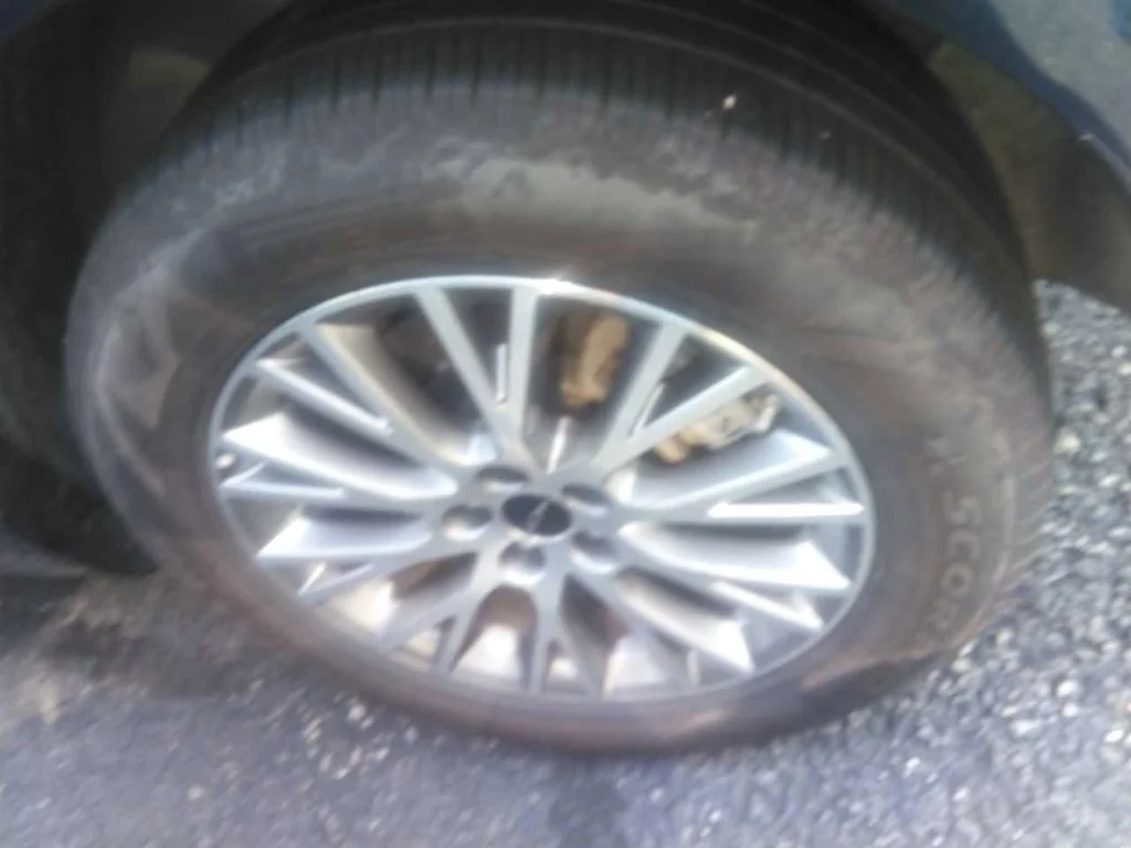 Used 2026 Blue Genesis 2.5T image 17