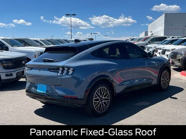 Used 2024 Blue Ford Premium image 6