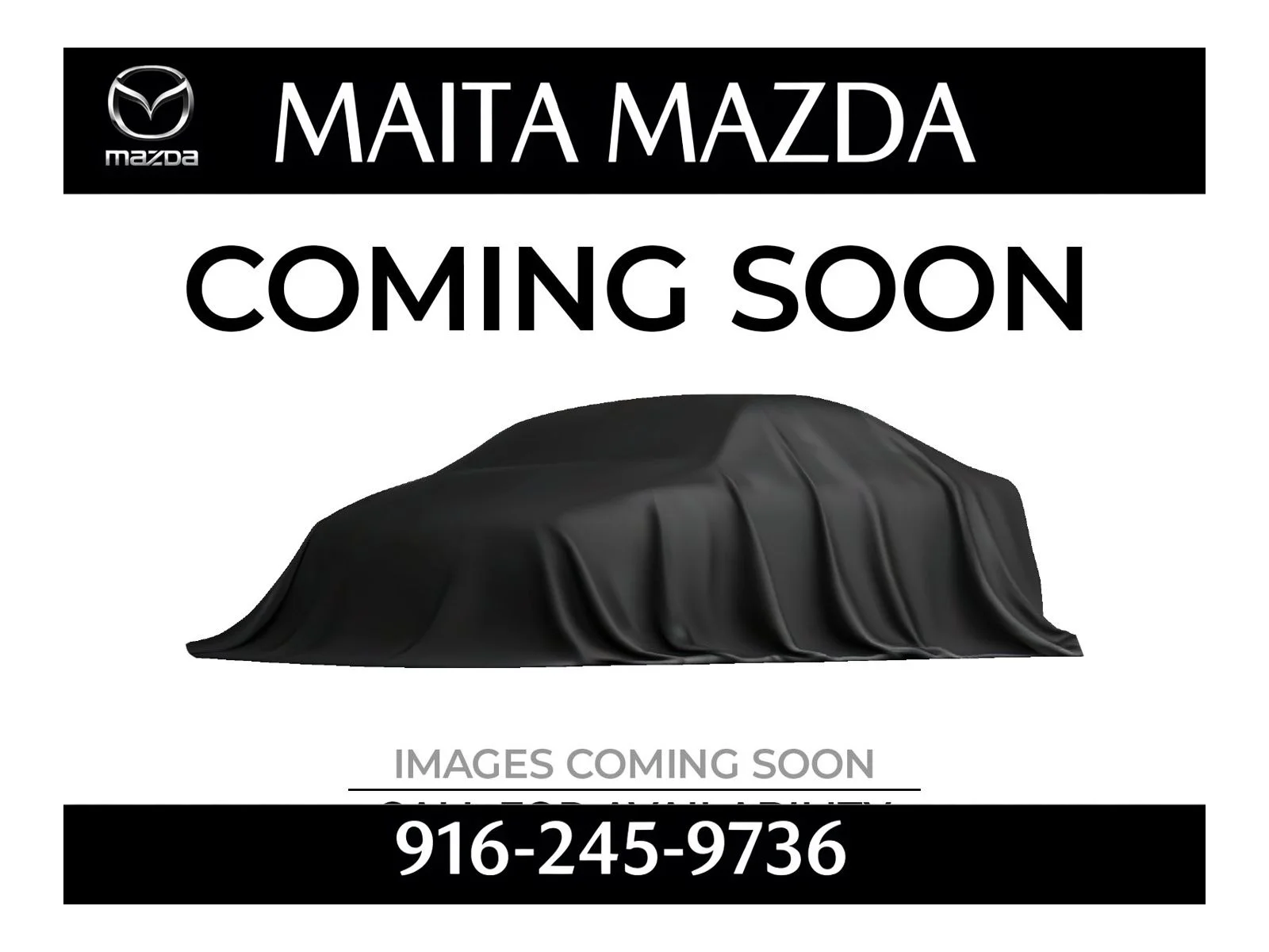 2024 Jeep Wrangler 4xe Sahara 4XE's photo