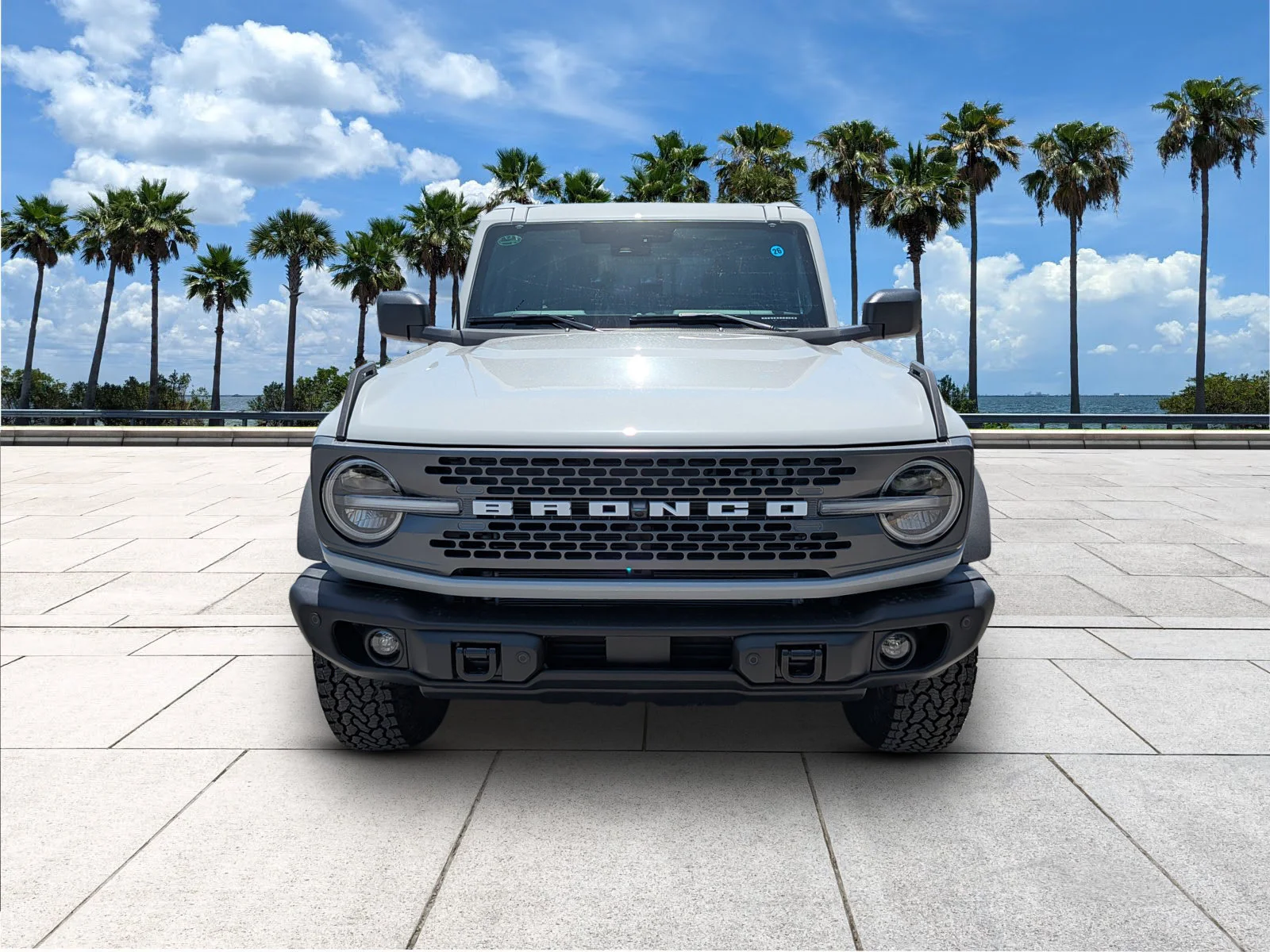 New 2026 Avalanche Gray Ford Badlands® image 2