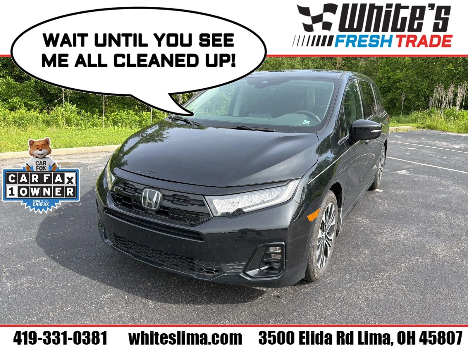 2025 Honda Odyssey Elite's photo