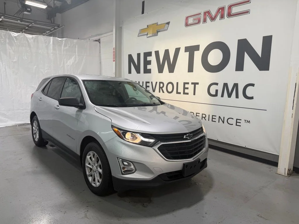 Used 2019 Silver Chevrolet LS image 2