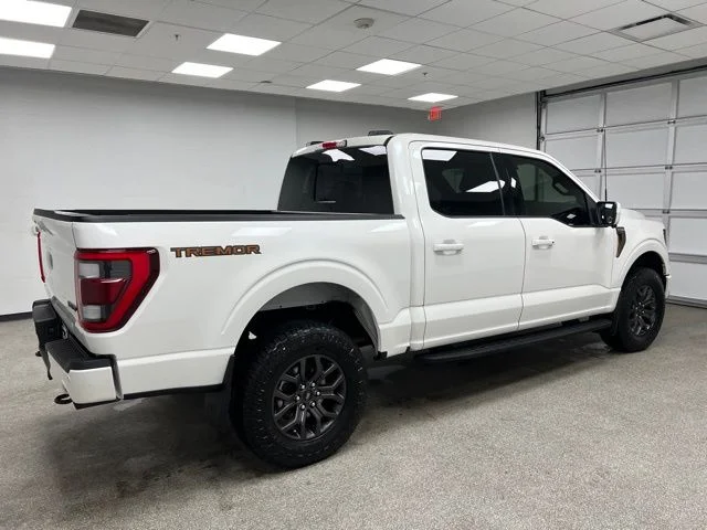 2023 Ford F-150 Tremor - Photo 12