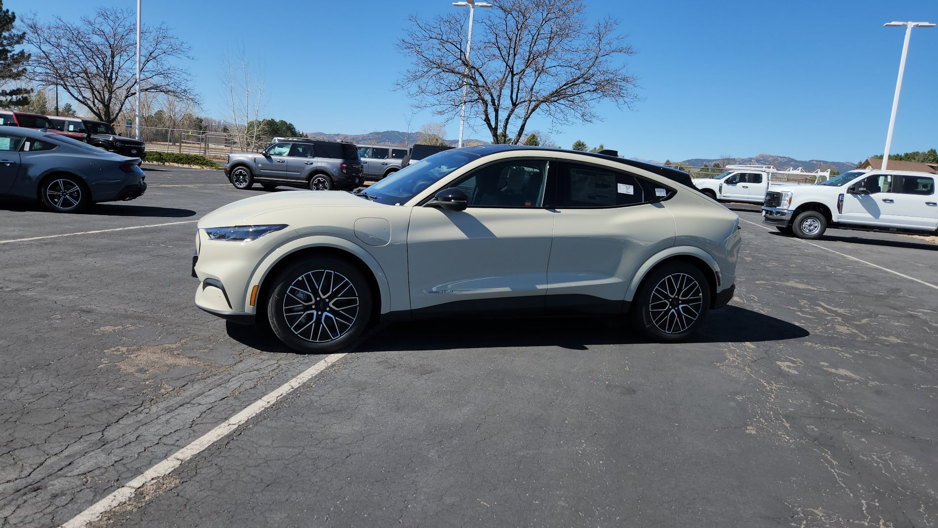 New 2026 Desert Sand Ford Premium image 5