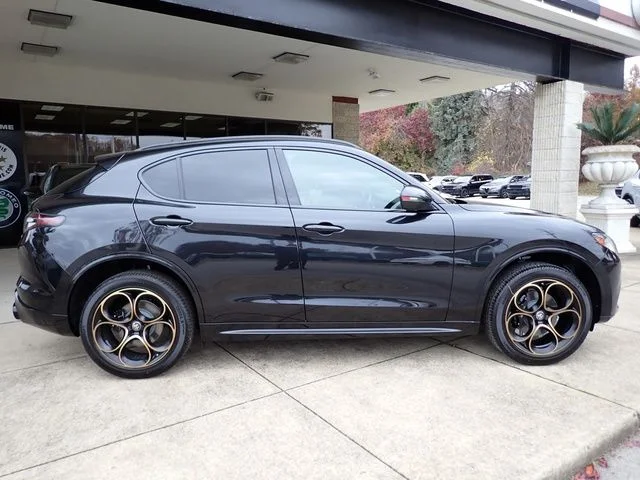 2025 Alfa Romeo Stelvio Intensa - Photo 7