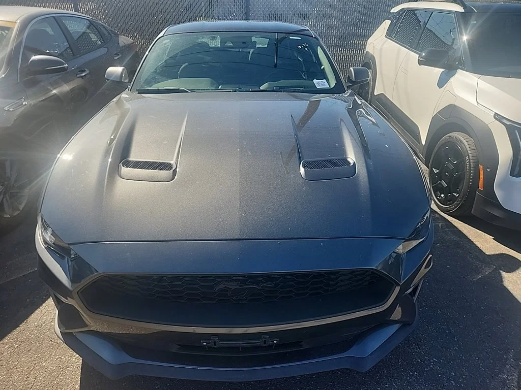 Used 2019 Gray Ford EcoBoost image 2
