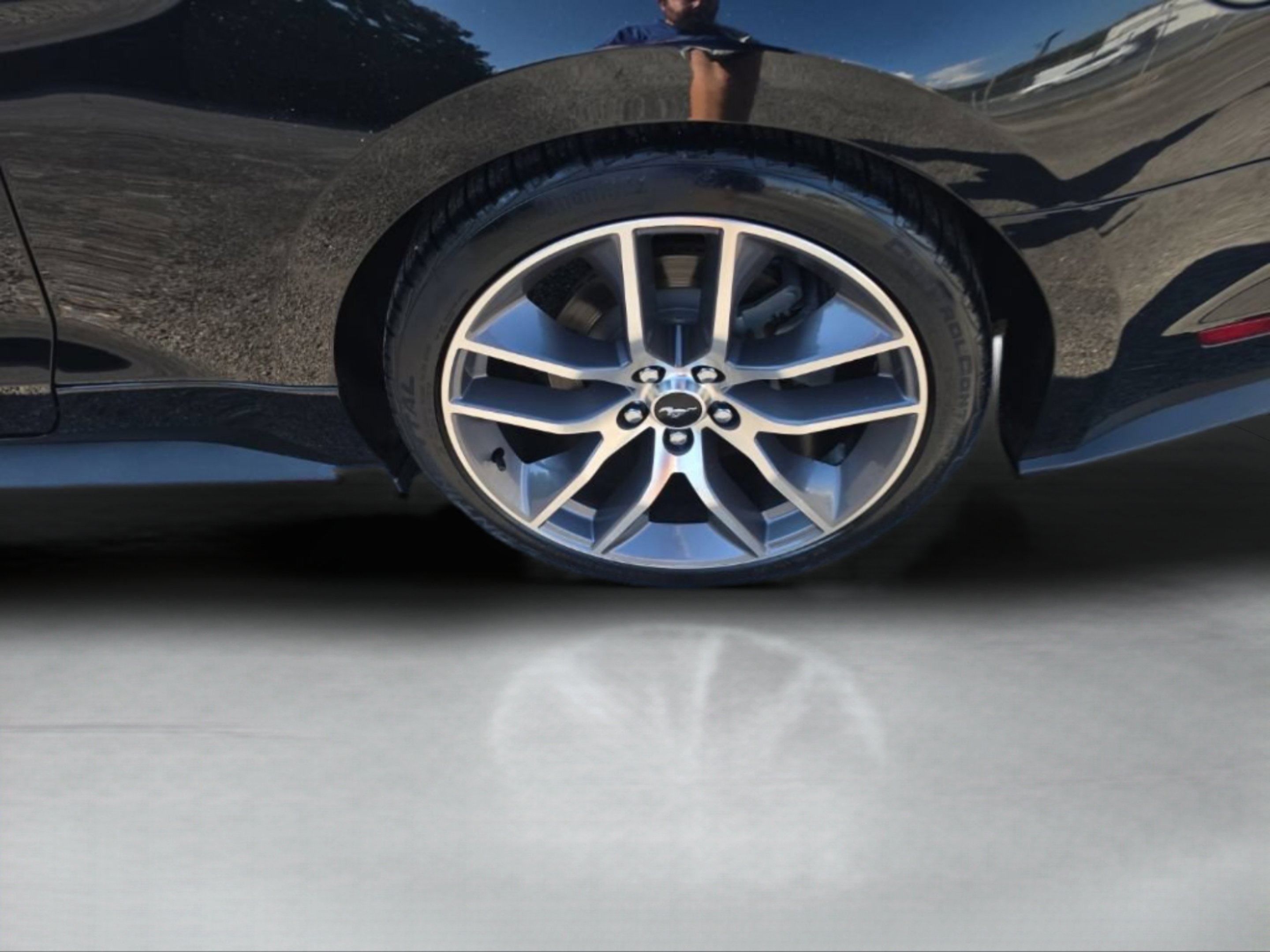 Used 2015 Black Ford GT Premium image 13