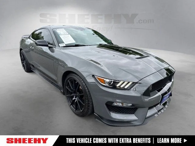 2018 Ford Mustang Shelby GT350's photo