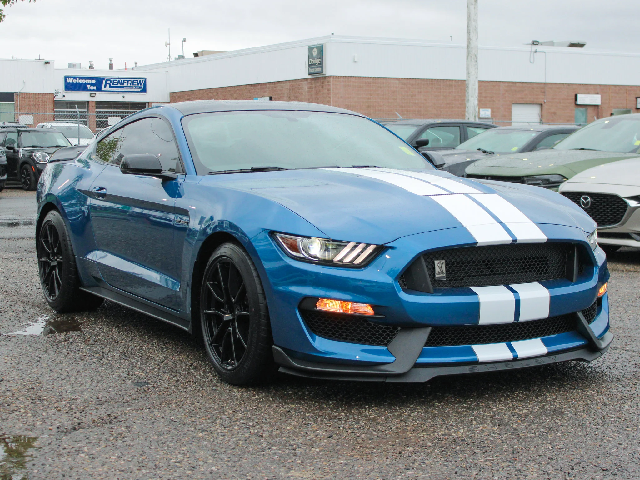 Certified Used 2020 Blue Ford Shelby GT350 * V8 Voodoo 526 HP | No Accidents | Low KM