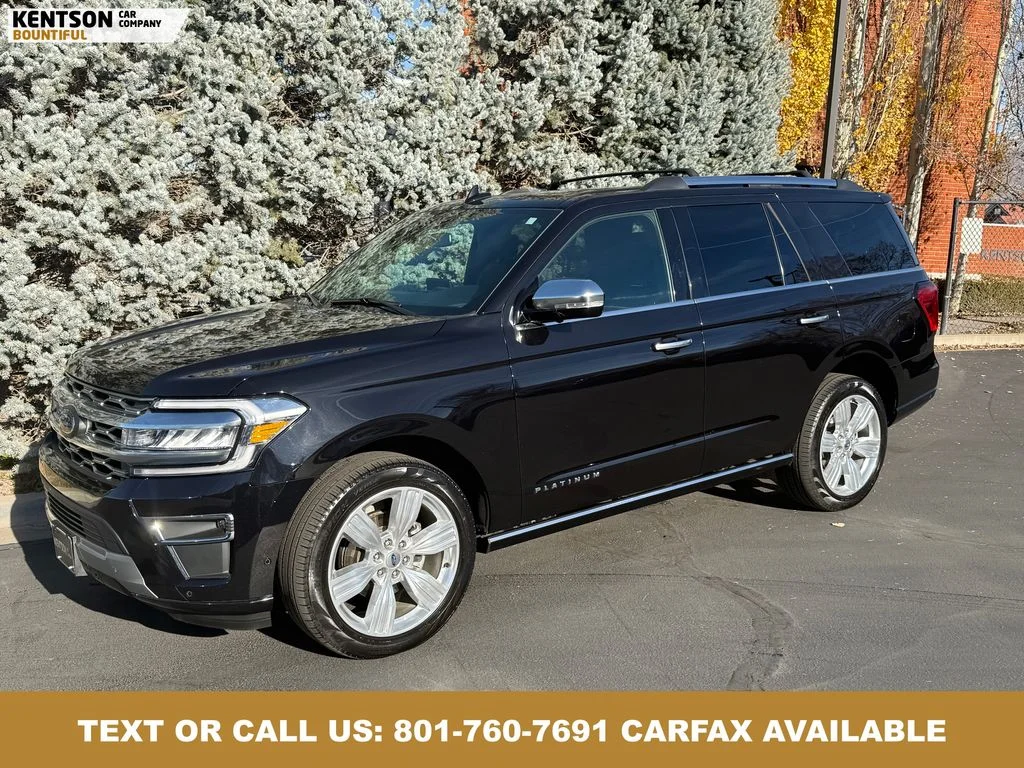 2024 Ford Expedition Platinum 4x4's photo