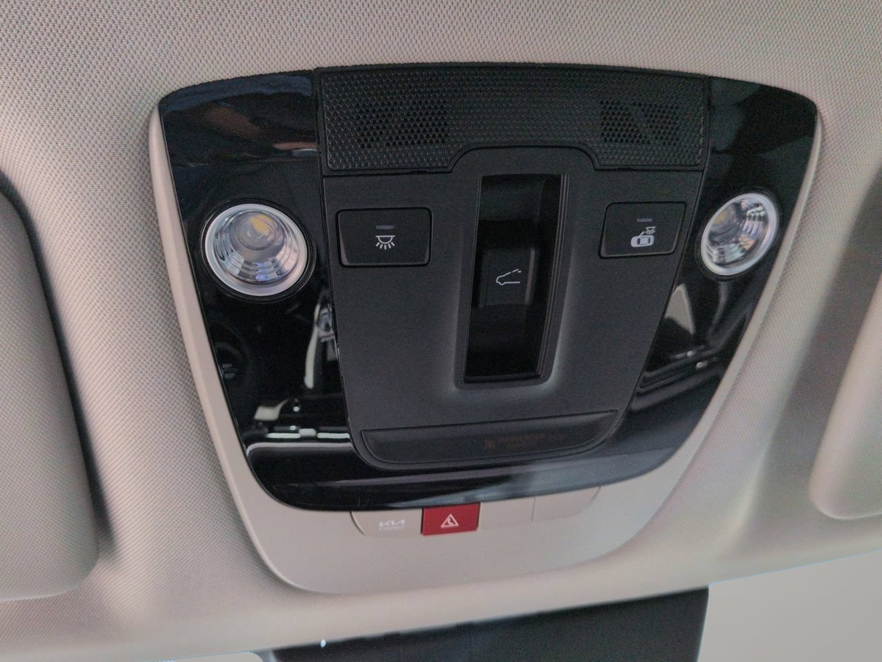 New 2026 Panthera Metal Gray Kia EX image 25