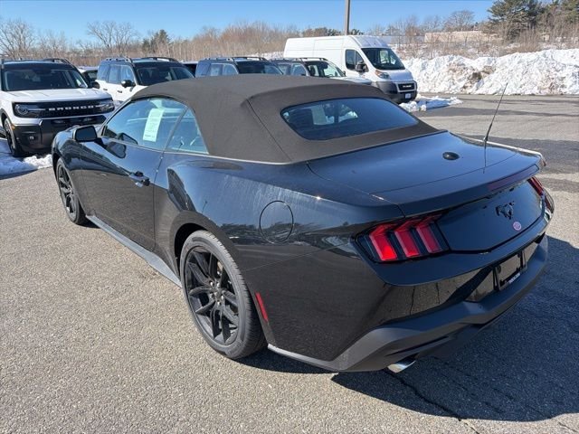 New 2026 Shadow Black Ford EcoBoost® Premium Convertible image 5
