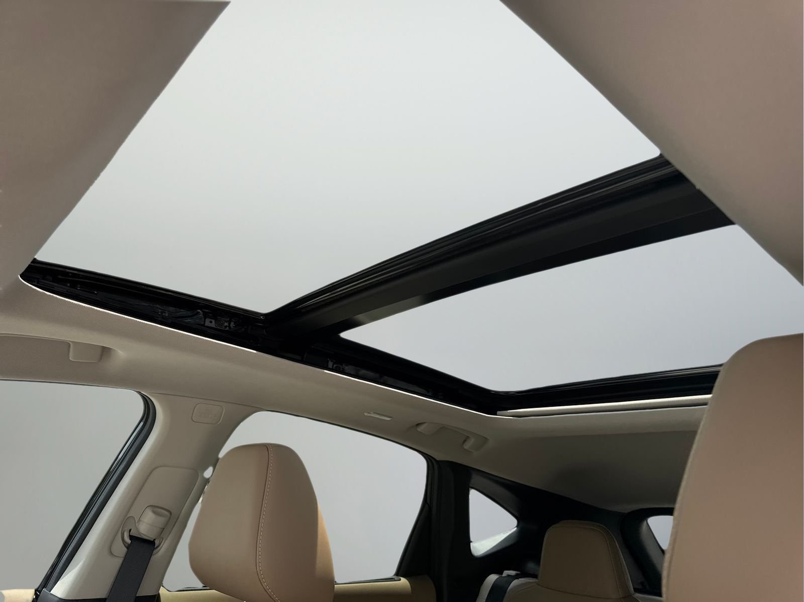 New 2026 Black Nissan Platinum image 33