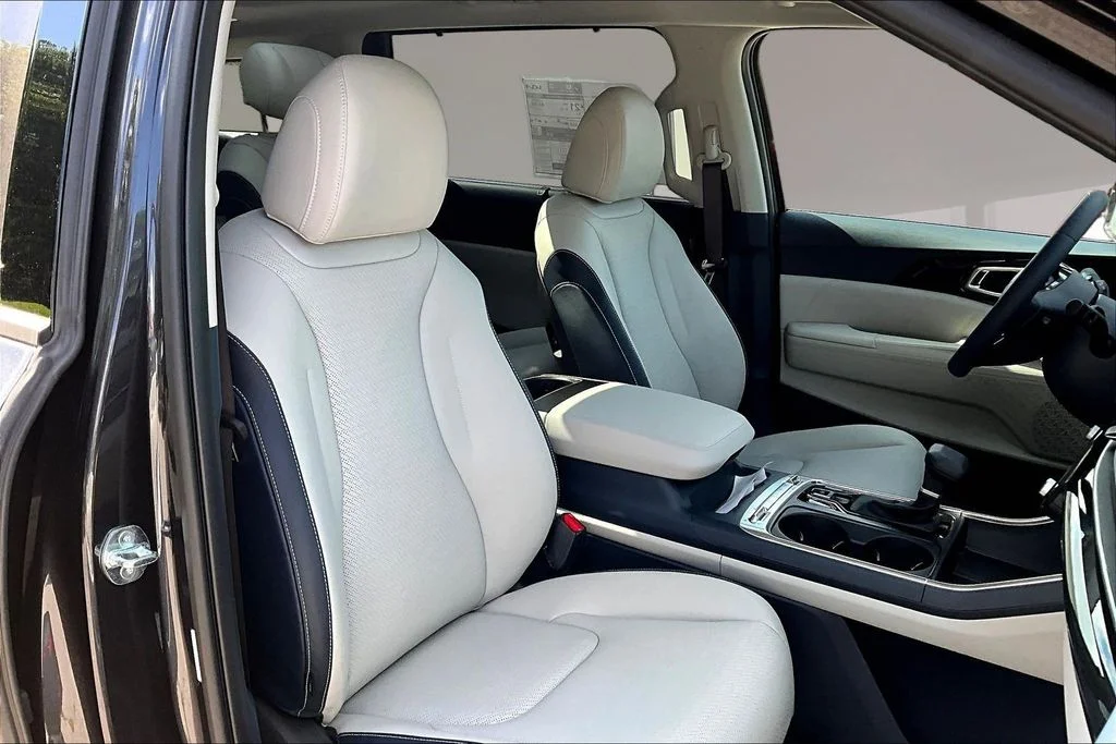New 2026 Panthera Metal Kia SX Prestige image 10