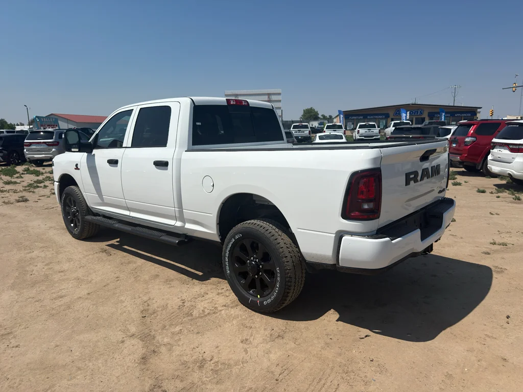 New 2026 Bright White Clear-Coat Exterior Paint RAM Black Express image 7