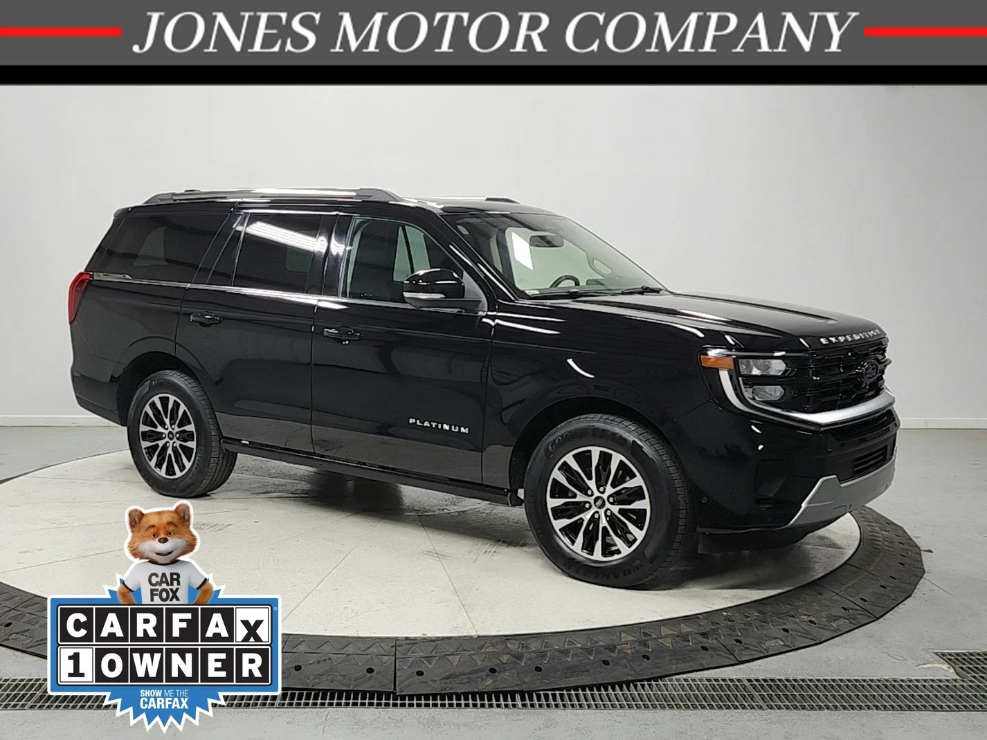 2025 Ford Expedition Platinum 4x4's photo