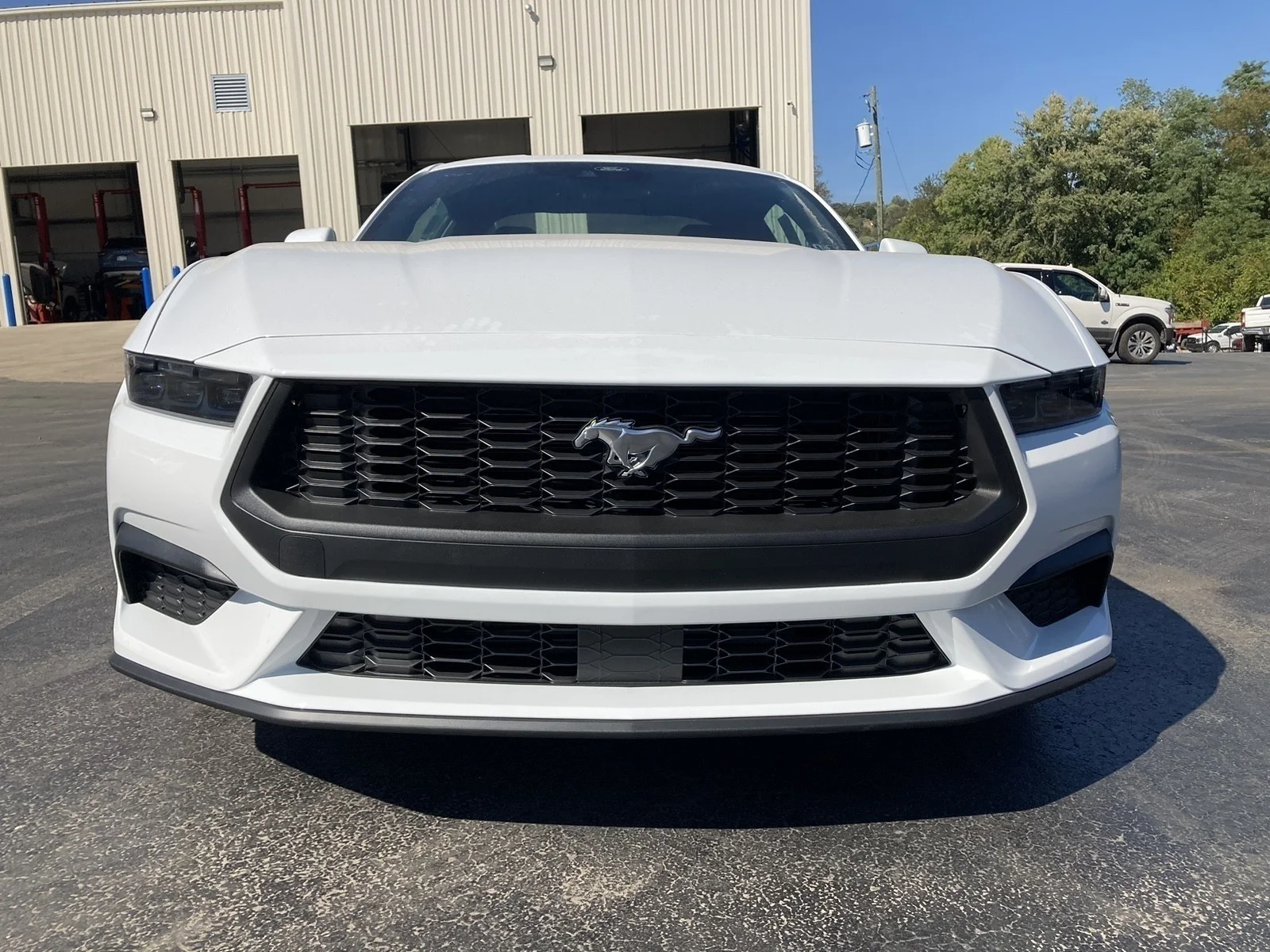 2025 Ford Mustang EcoBoost Premium Fastback - Photo 22