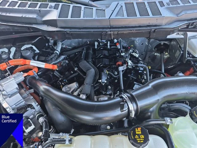 Used 2025 White Ford XLT image 37