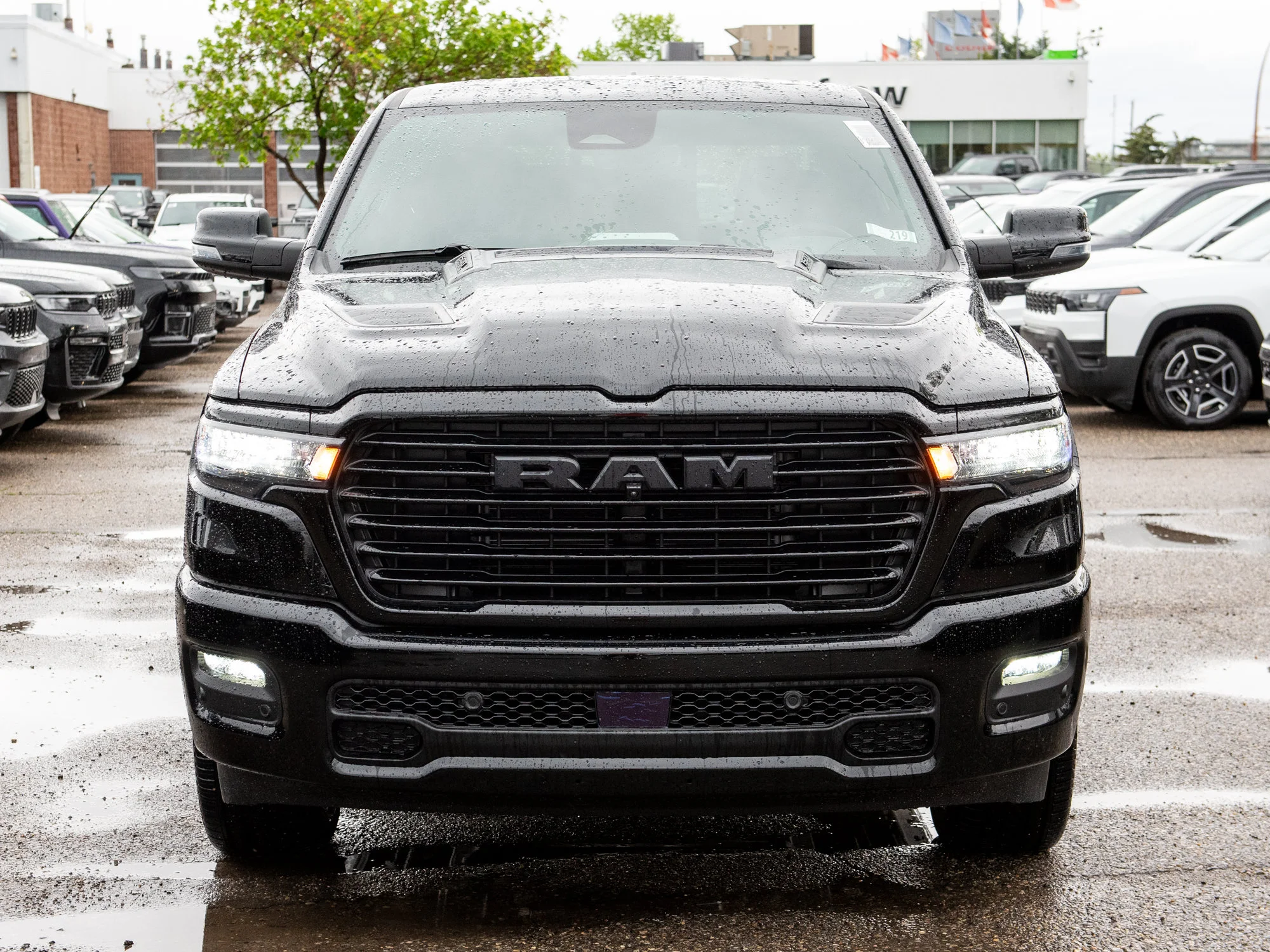 New 2026 Black RAM Sport* image 8