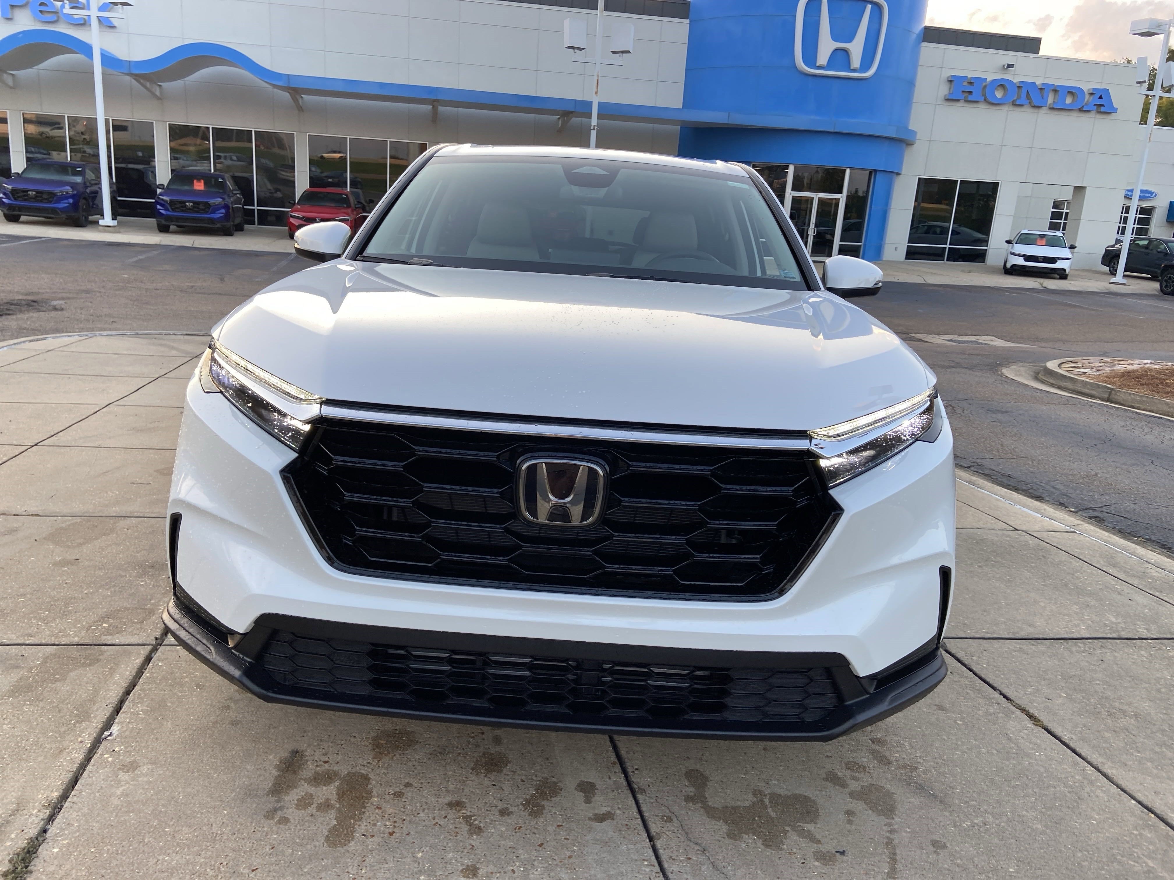 New 2026 Platinum White Pearl Honda EX image 3