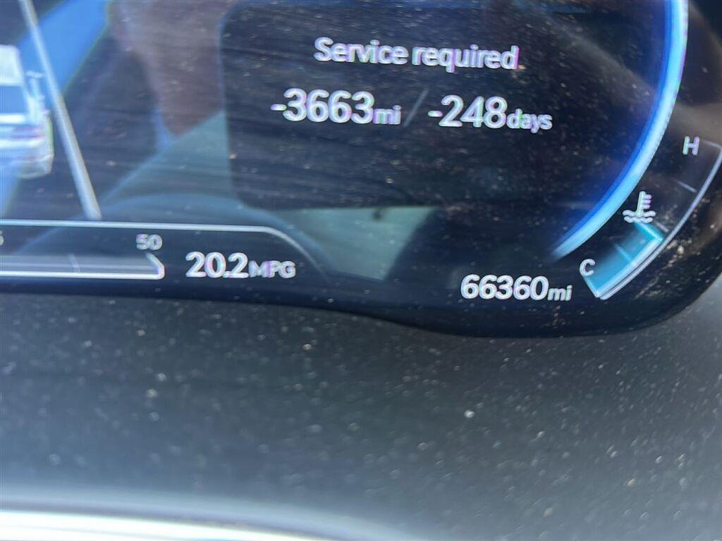 Used 2023 Cardiff Green Genesis  image 3