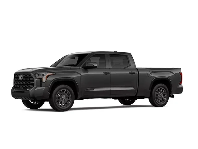 New 2026 Magnetic Gray Metallic Toyota Platinum image 1