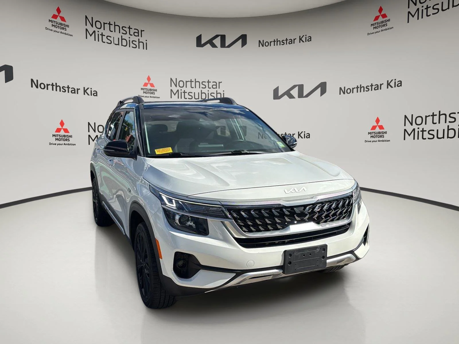Used 2022 Clear White/Black Roof Kia Nightfall image 16
