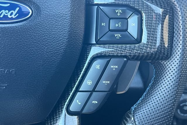 2019 Ford F-150 Raptor - Photo 28