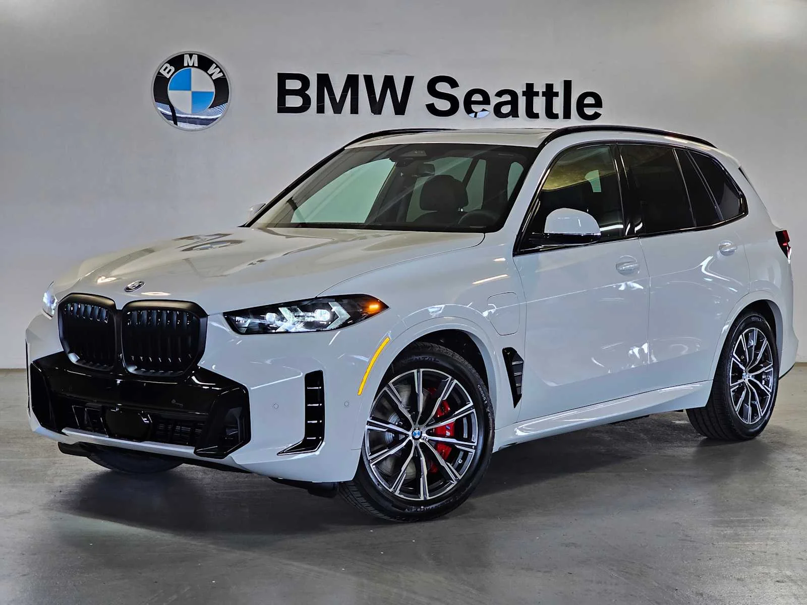 2026 BMW X5 xDrive50e's photo