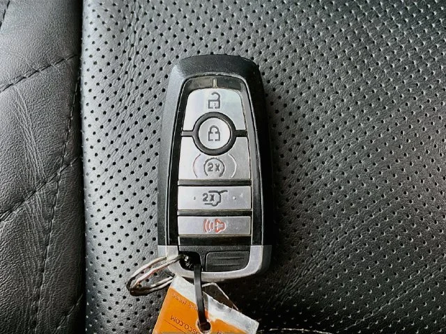 Used 2020 Red Ford Platinum image 13