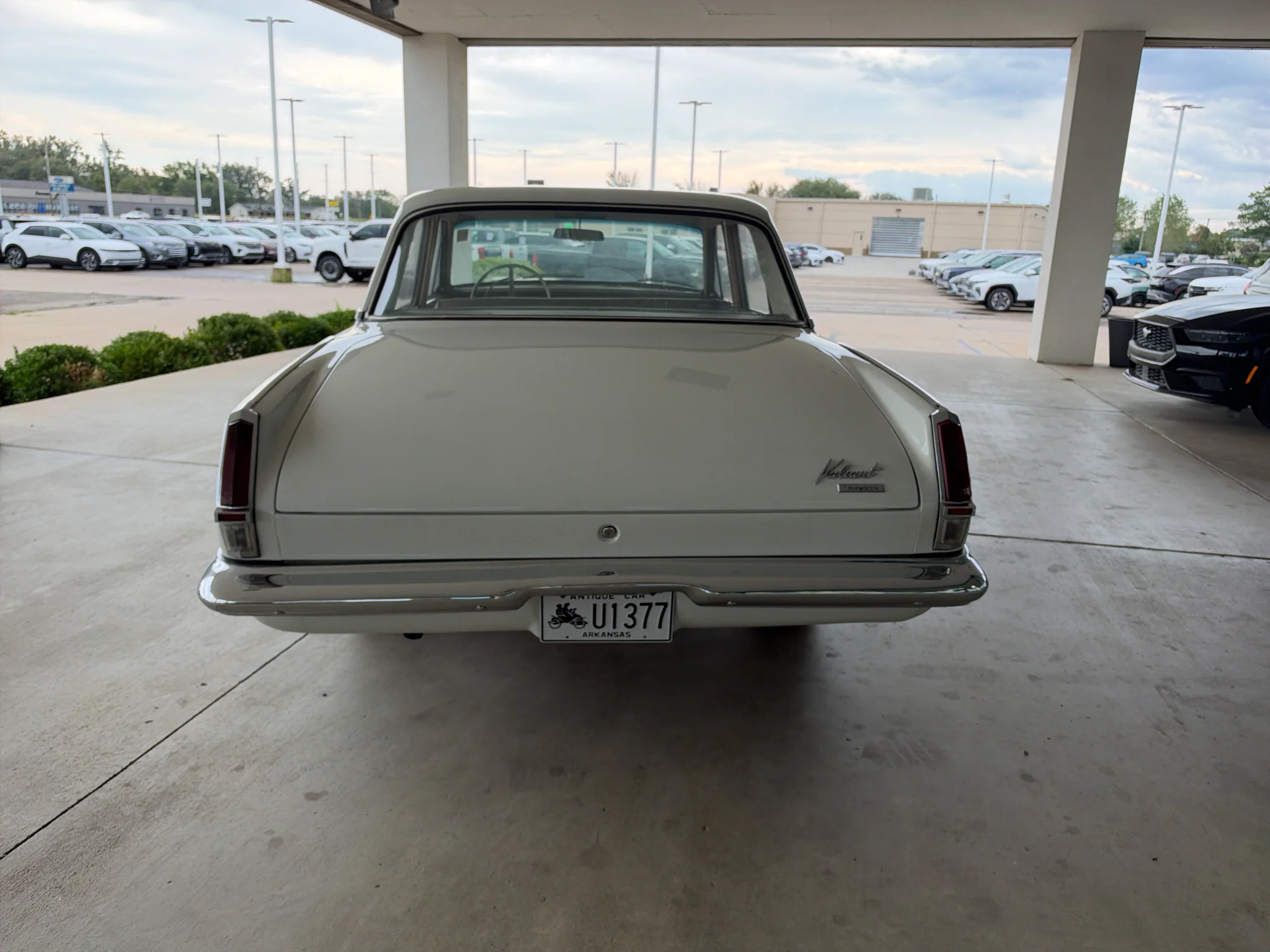 Used 1964 WHITE PLYMOUTH  image 6
