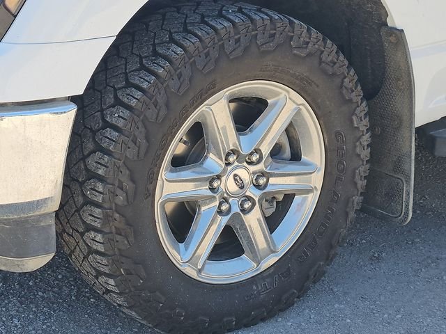 Used 2024 White Ford XLT image 4