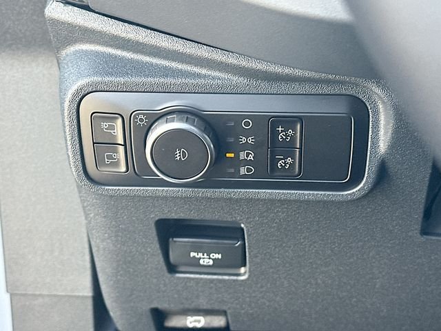 New 2026 Avalanche Gray Ford Raptor image 10