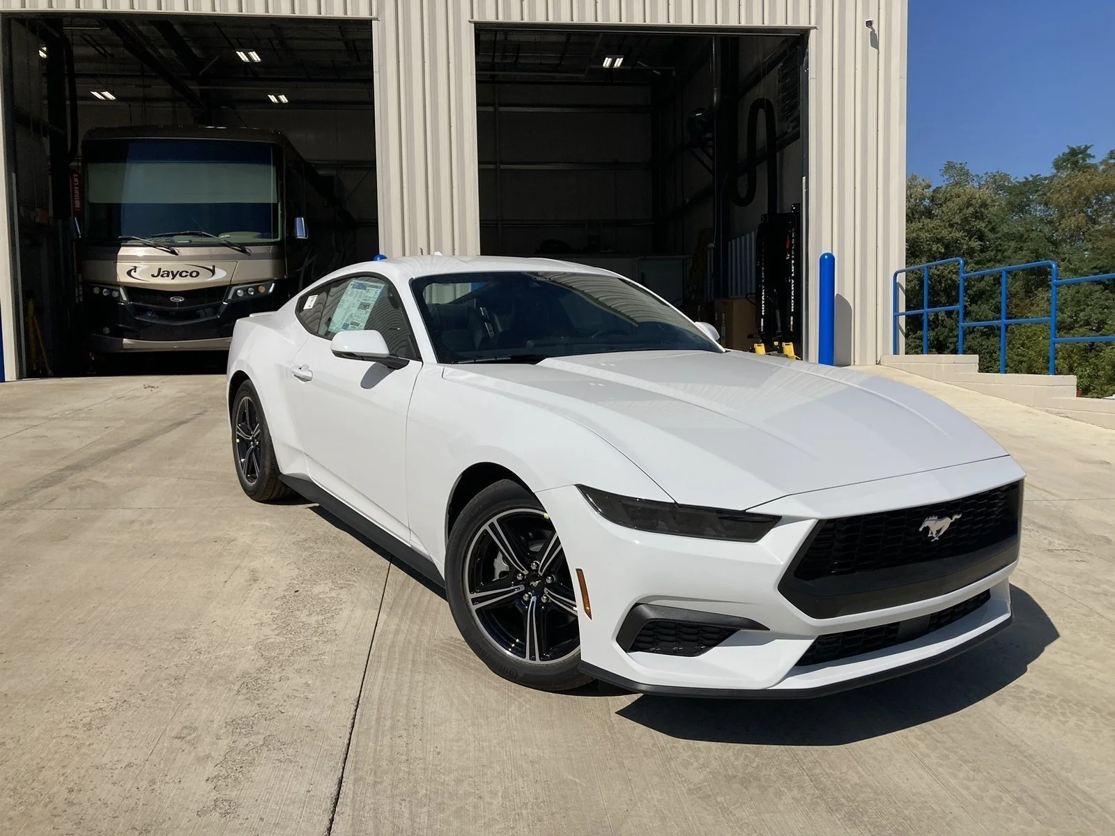 2025 Ford Mustang EcoBoost Premium Fastback - Photo 7