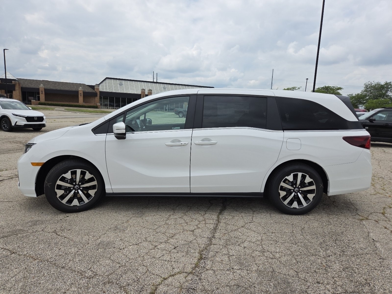 New 2026 Platinum White Pearl Honda EX-L image 19