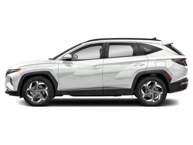 Certified Used 2024 White Pearl Hyundai Limited image 3