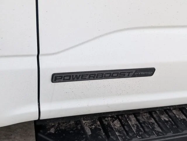 New 2026 Oxford White Ford XLT image 6