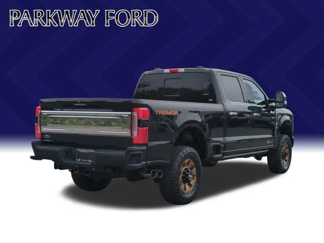 Used 2024 Black Ford Platinum image 5