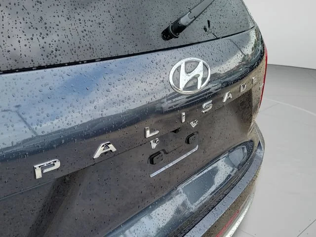 Used 2024 Gray Hyundai Calligraphy image 5