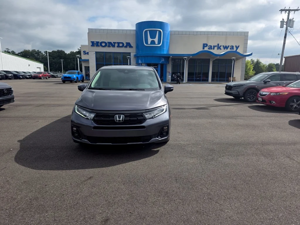New 2027 Modern Steel Metallic Honda Elite image 8