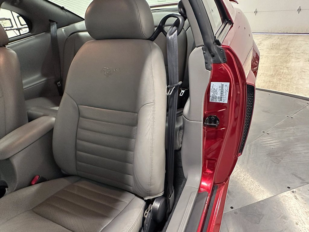 Used 2004  Ford GT image 66